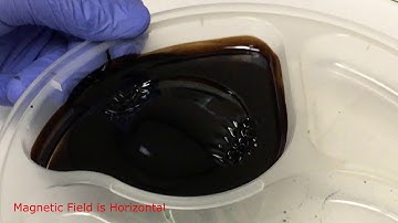 CMS Magnetics Ferrofluid Magnetism Experiments with Neodymium Magnets