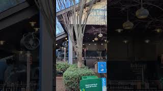 Verbolten Forbidden Turn Construction At Busch Gardens Williamsburg On February 20, 2026
