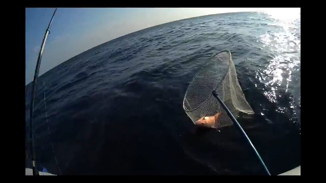 제주도 형제섬 그리고 낚시 (fishing in jeju) YouTube