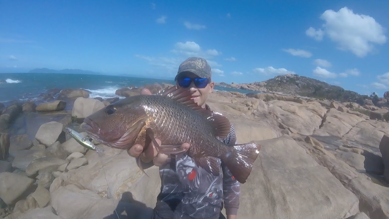 1.2m Barramundi hook up off Townsville. Mangrove Jack fishing turns