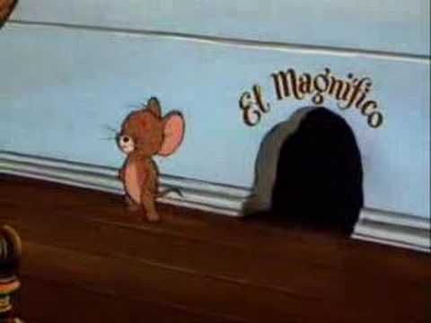video tarjama tom and jerry