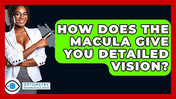 How Does The Macula Give You Detailed Vision? - Optometry Knowledge Base