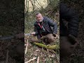 huang fu harpoon un cuchillo muy polivalente.#edc #survival #bushcraft #supervivencia #shorts #tips