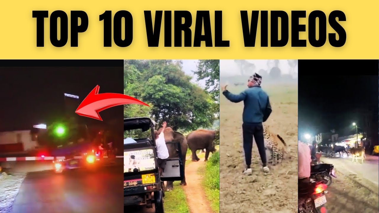 Top 10 Viral Video || Viral Videos Top Ten In India || वायरल वीडियो