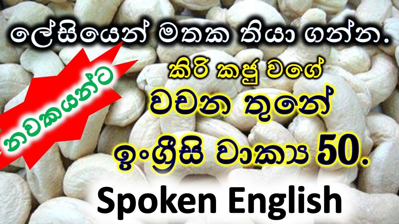 Spoken English  / වචන තුනේ ඉංග්‍රීසි වාක්‍ය 50