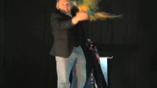 RolandJames2010.mp4