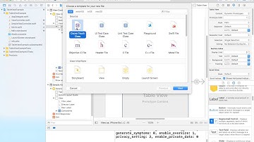 13 Custom TableView Cell