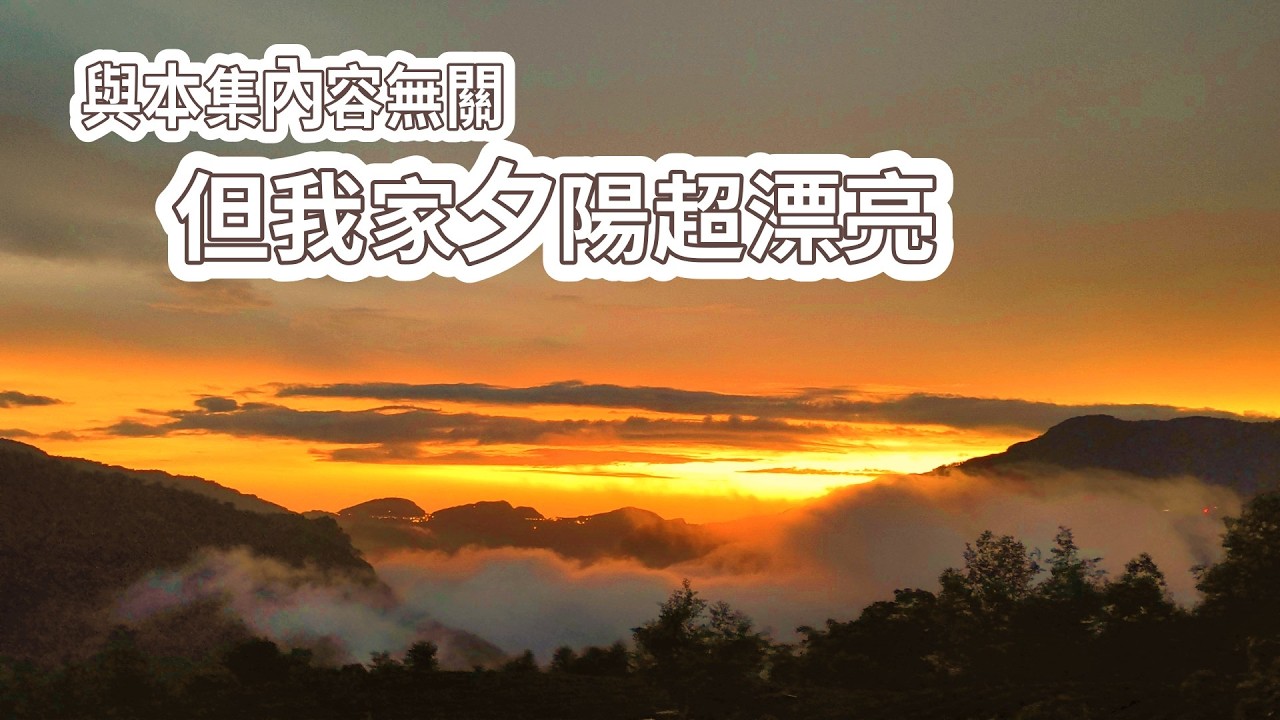石牆誘蜂洞製作分享-跟著阿浦開箱真實的野蜜吧 縮圖