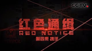 《红色通缉》 第四集 《携手》| “狡兔三窟”最终引来全球联合追逃 | CCTV 国际追逃追赃纪实片