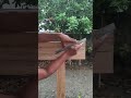 connections trick and tips 👍 #connection #carpenter #diy #shorts