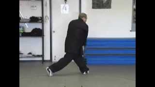 Pa Kua - Traditional Form - Line 8 - Den Snake Coils Around The Willow Tree - Right