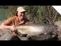 Niagara River Salmon - Shore Fishing with the Stingeye Spinner