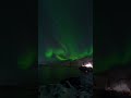 GoPro | Vibrant Northern Lights Show 🎬 Evan Possley #Shorts #NorthernLights