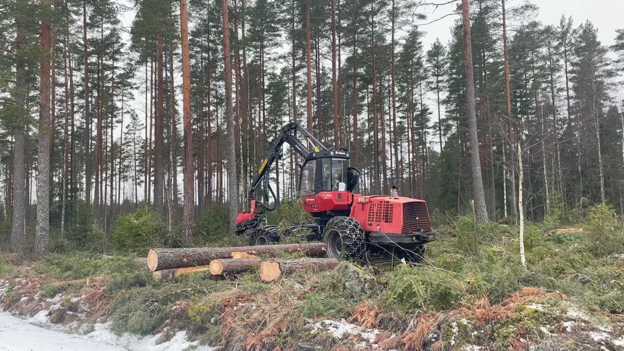 Köp Skördare Valmet 911.3 med skördaraggregat 360.2 på Klaravik