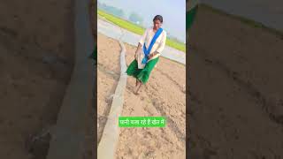 पानी चल रहे हैं खेत में#short#video#Hindi#gana
