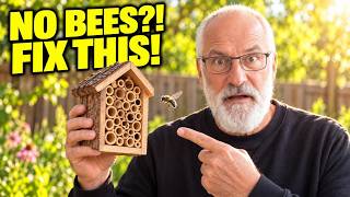Why Your Bee Hotel Is Empty (And How to Fix It)