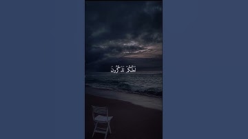 " ففروا إلى الله " ٥٠ سورة الذاريات