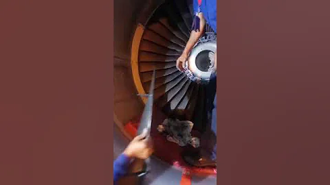 REPLACEMENT OF THE CFM56-5B 1st STAGE FAN BLADE AFTER BIRD STRIKE # 36 Blades per Engine