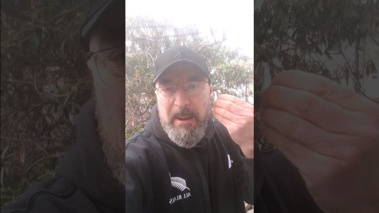 ქართველო ერის გენოციდისთვის, ივანაშვილთან ერთად, ყველა ქოცს, საშვილთაშვილოდ - უმძიმესად მოეკითხება!