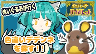 【ポケモン バイオレット】色違いデデンネさんを探す旅！！リベンジ