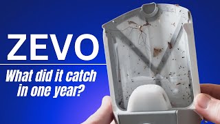 Zevo Flying Insect Trap 🪰 What did it catch in one year?