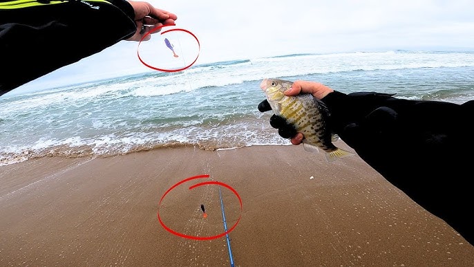 NEW LURE for SURF FISHING on the California Coast (Success!) 