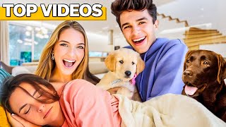 Cutest ANIMAL ENCOUNTERS! *must watch!* | Brent Rivera