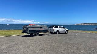 Pawfessional Nomads Live Stream