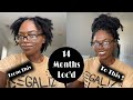 14 Month Loc Update| Faux Loc Bun Tutorial on Short Locs| Brushing My Locs