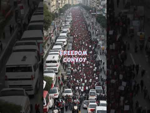 Turkey's Resolute Stand: Navigating the Complexities of the Palestine 