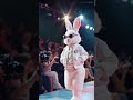 Bunny Slays the Runway 🐰✨ | Fashion Week Goes Fluffy (AI Video)