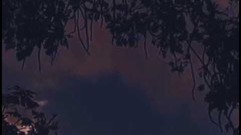 (الذين آمنوا وتطمئن قلوبهم بذكر الله)💙 حالات واتس اب قرآن كريم/💙💙