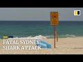 Scuba diver dies in first fatal shark-attack in Sydney since 1963