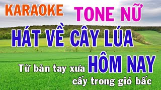 Hát Về Cây Lúa Hôm Nay Karaoke Tone Nữ Nhạc Sống - Phối Mới Dễ Hát - Nhật Nguyễn