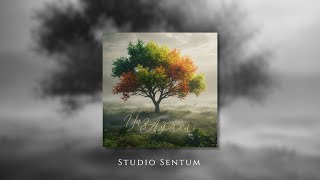Yaz Ağacı - Studio Sentum
