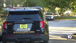 Miramar man pistol whipped, suspect steals French bulldog