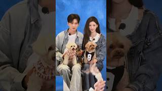 Bi Wen Jun And Zhang Yuxi With Puppies zhangyuxi biwenjun shorts viral