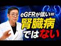 【医師解説】eGFRが低い＝腎臓病とは限らない！健診で本当に見るべき3つ