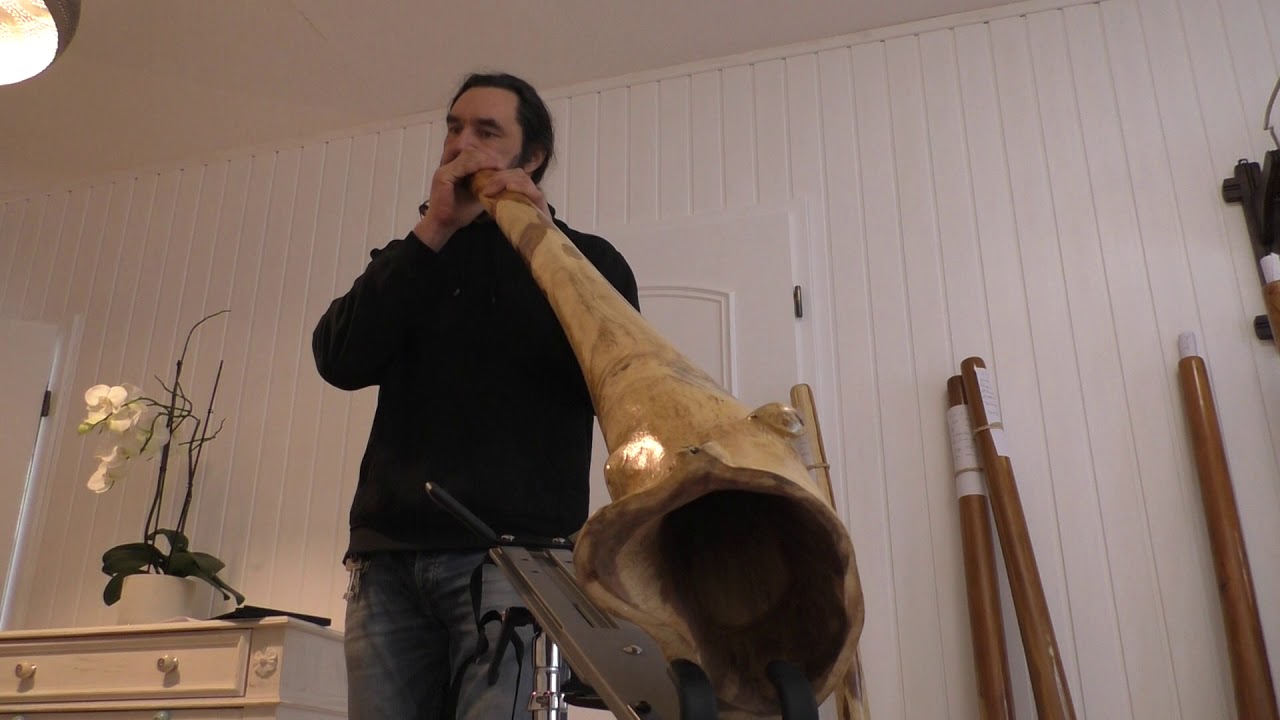 DEN4