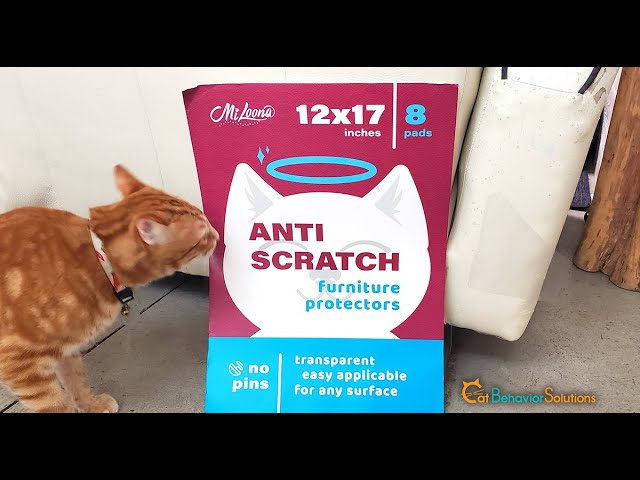 How to protect your couch from cat scratch. The newest adjustable cat  scratching sofa mat - NATUYA 