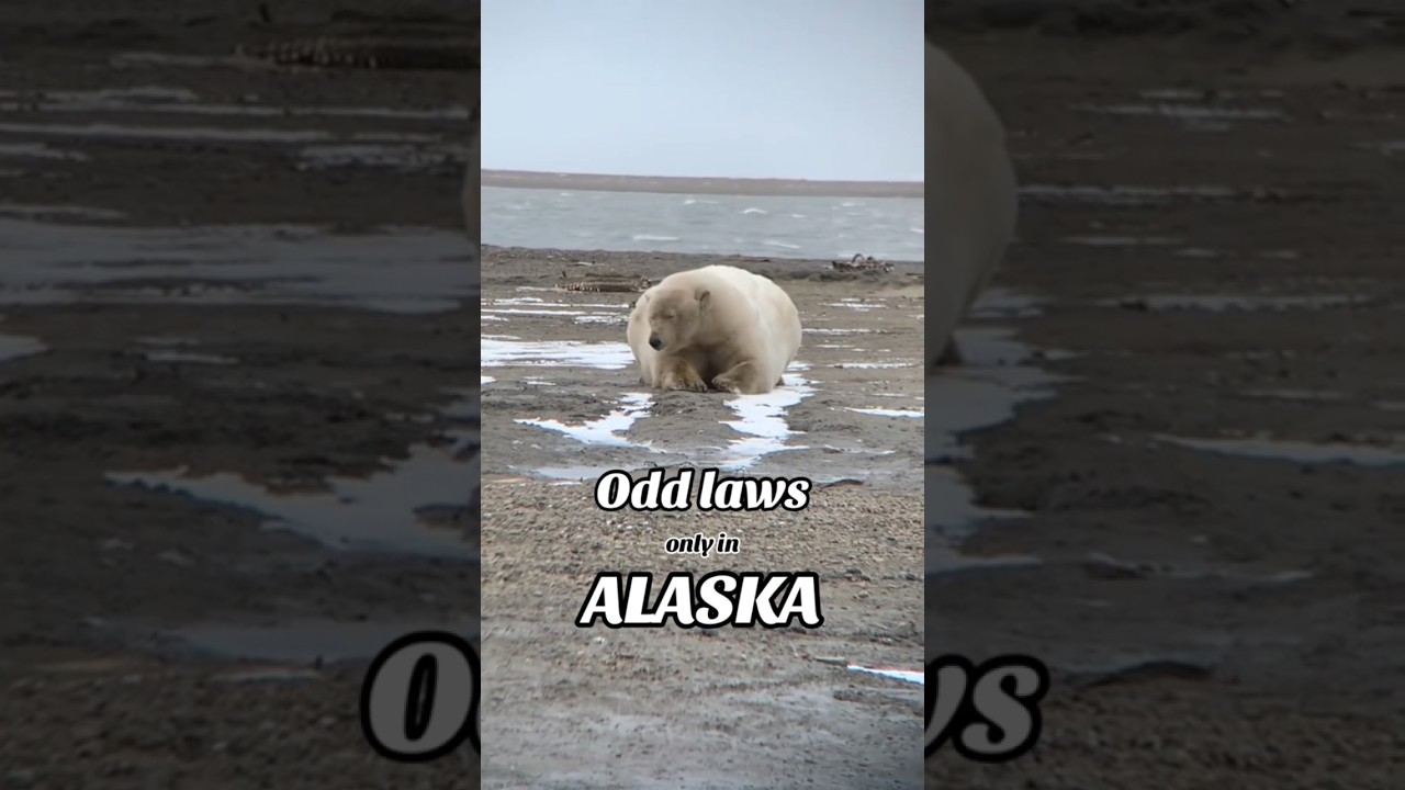 Some of Alaska’s unique laws…