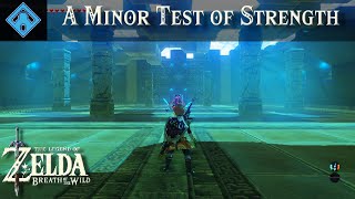 Soh Kofi Shrine | The Legend of Zelda, BOTW Tutorial