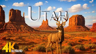 Breathtaking Utah 4K Drone Tour | Epic Nature Landscapes with Cinematic Music