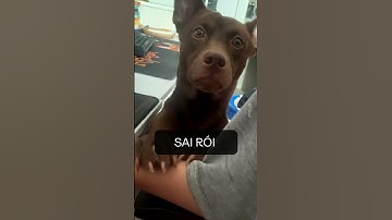 Xoay hình ngang thành dọc| TiGod with DaVinci Resolve Studio