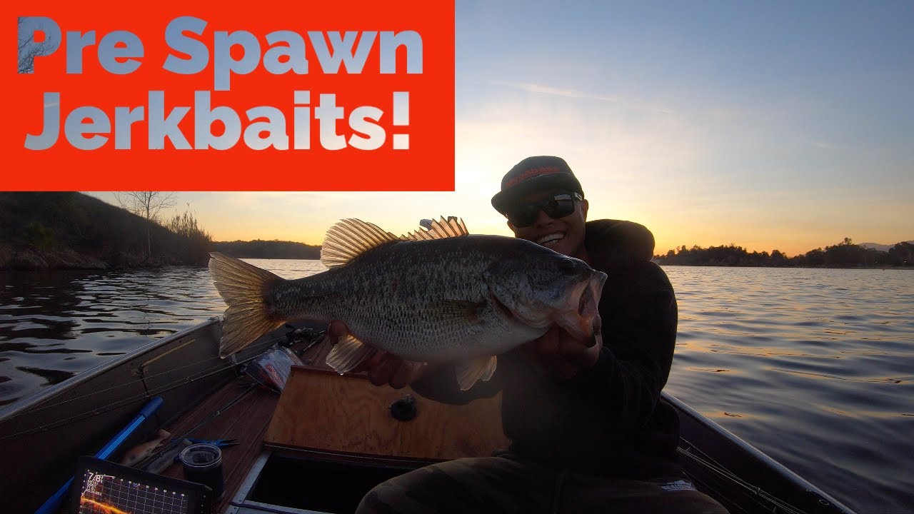 Pre Spawn Jerkbait Fishing In California with Megabass Jerkbaits
