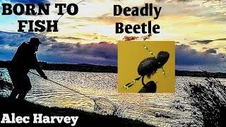 FLY TYING - A DEADLY FOAM BEETLE