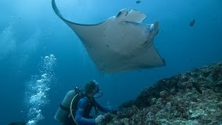 Подводный Мир Пхукет Underwater World Phuket(Подводный Мир Пхукет Underwater World Phuket Это видео создано с помощью видеоредактора YouTube (http://www.youtube.com/editor), 2014-01-29T13:48:32.000Z)
