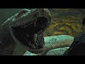 4K Snake Eats Person Mawshots SN