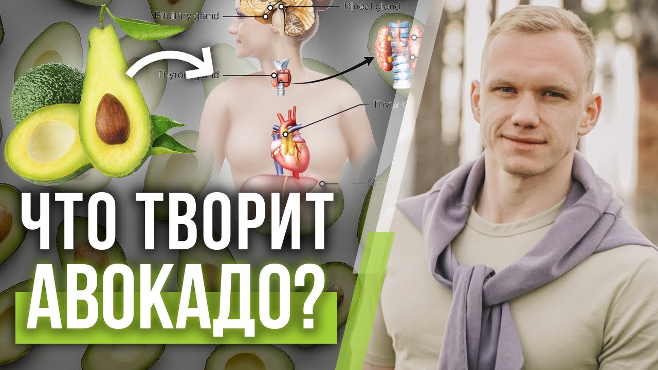 Всё про авокадо! / Какая польза от авокадо? - YouTube
