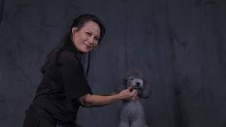 Asian Freestyle Doughnut Muzzle by Riza Wisnom